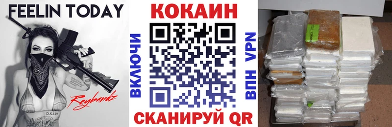 Кокаин Fish Scale  Купить закладки  Карачаевск 