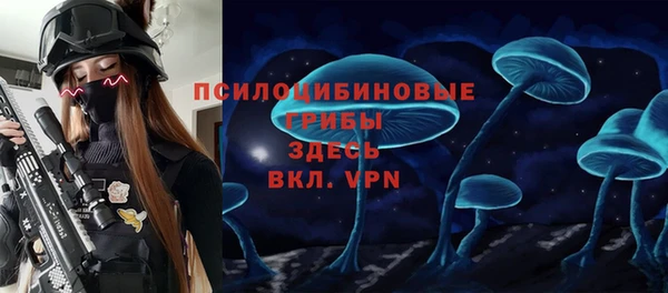 ECSTASY Дмитров
