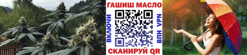 Купить где  Карачаевск  ТГК вейп 
