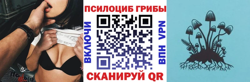Галлюциногенные грибы мицелий  Купить закладки  Карачаевск 